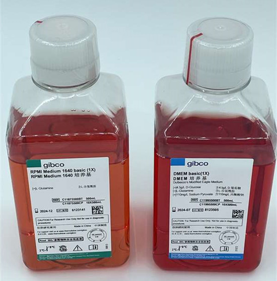 常見的細(xì)胞培養(yǎng)基類型有哪些