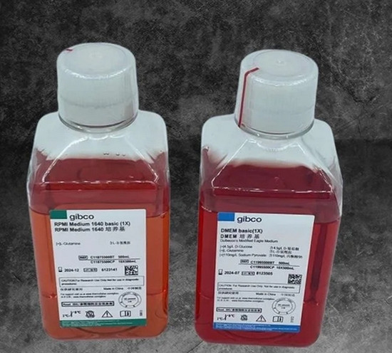 Gibco澳洲胎牛血清價格大概多少